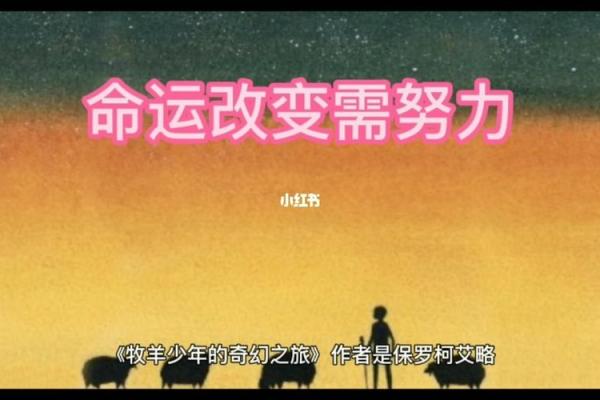 如何通过丁亮君臣命理改变你的命运轨迹？