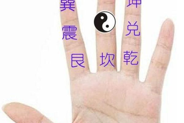 五指间的五行格局，反而揭示你隐藏的潜力与弱点