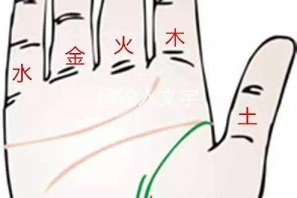 五指间的五行格局，反而揭示你隐藏的潜力与弱点