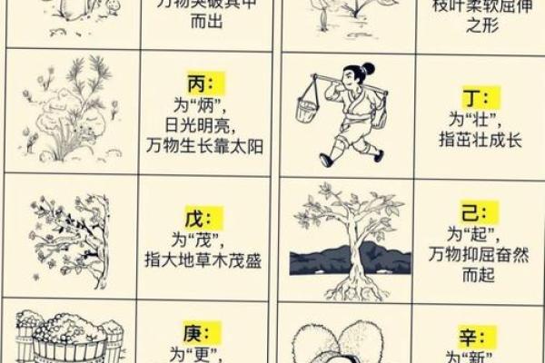 五行格局重塑术:揭秘如何通过晓五行改变命运轨迹 五行格局重塑术:揭秘如何通过晓五行改变命运轨迹