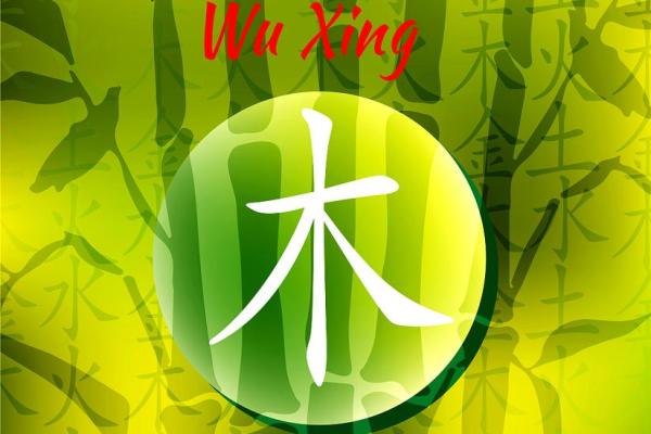 哈字五行格局揭秘：如何解析你的性格潜能？