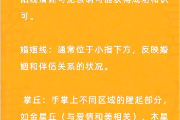 手心有肉手背没肉？命运密码揭示人生轨迹的秘密