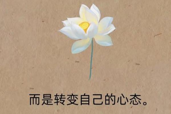 改变性格从五行格局开始：告别误区，拥抱真实自我