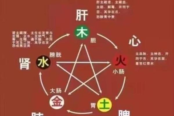 五行格局重塑术:实用指南教你如何改变自己的五行属性 五行格局重塑术:实用指南教你如何改变自己的五行属性