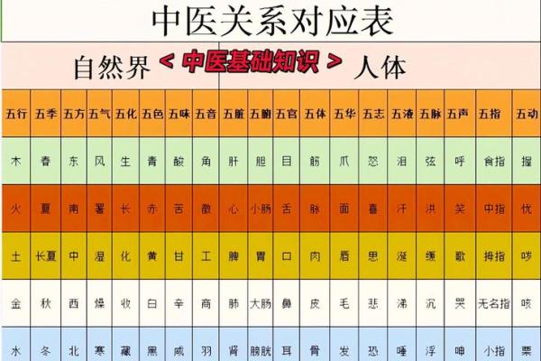恺五行误区大揭秘：颠覆传统认知的五行格局解析