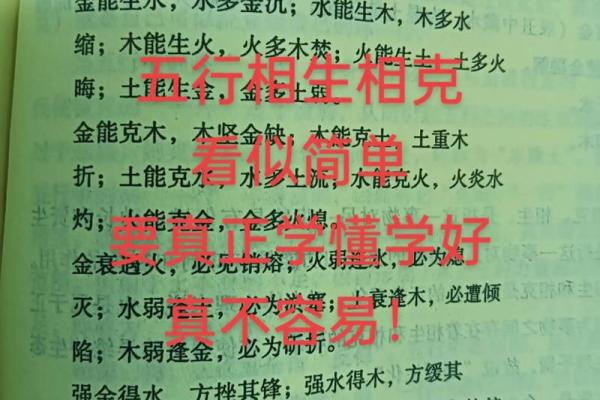 火属性性格颠覆性解析:揭秘如何从五行格局中突破自我 火属性性格颠覆性解析:揭秘如何从五行格局中突破自我