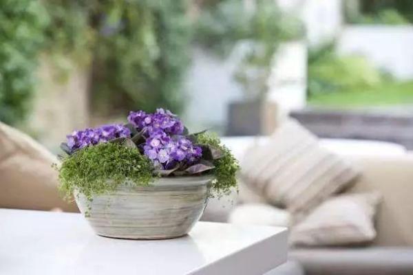 鄢颇命理的误区：你以为的八字破解其实是错的！