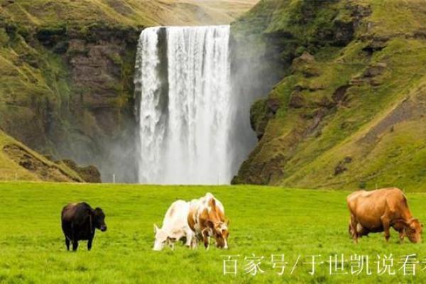 潇五行揭秘：性格解析中的反常现象，反而能助你成功？