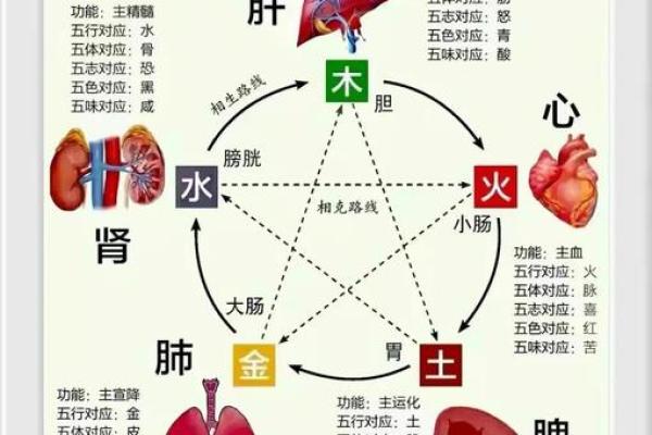 五行格局性格解析：揭秘你的内在力量，如何改变人生轨迹？