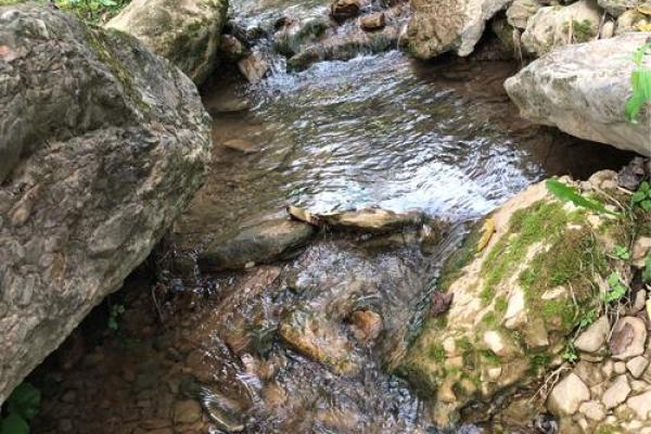 五行格局下的溪流性格：如何改变你的命运轨迹？