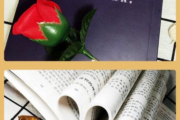 睦字五行格局揭秘:性格解析如何影响人际关系? 睦字五行格局揭秘:性格解析如何影响人际关系?