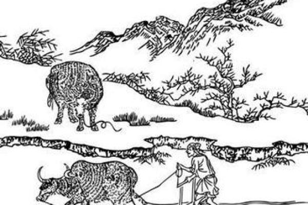 解密美国节日中的农耕元素与自然节律