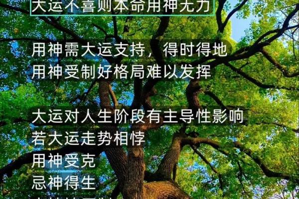 揭开命运密码：八字命理中暗藏的玄机，如何改变你的未来？