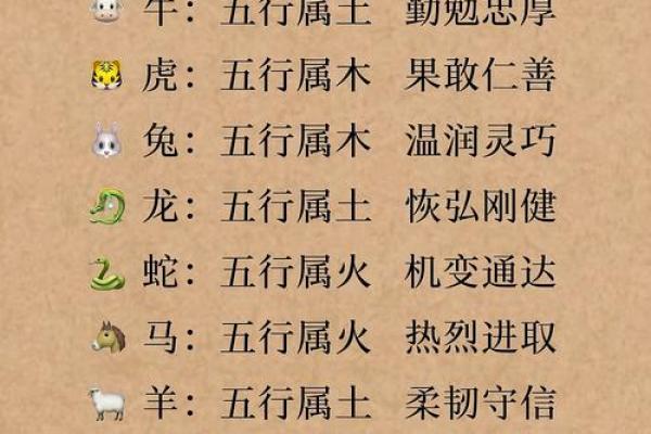 五行性格解析：破解你的命运密码，揭秘性格误区