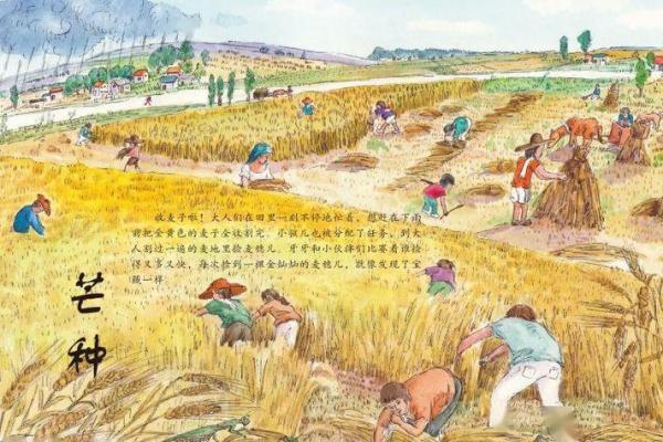 揭开回族节日背后的天文与农耕智慧