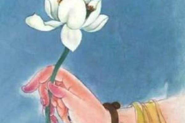 误入命理长生表的迷途：如何避免改变命运的陷阱？