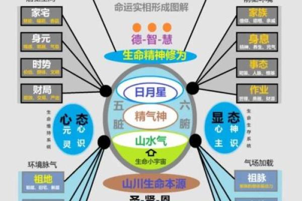 知字五行格局大揭秘:如何改变命运,开启智慧人生? 知字五行格局大揭秘:如何改变命运,开启智慧人生?