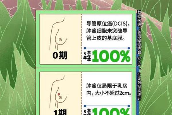 胸部命理颠覆传统:隐藏在胸部的命运密码 胸部命理颠覆传统:隐藏在胸部的命运密码