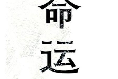 深入命理密中密，破解命运密码的真相