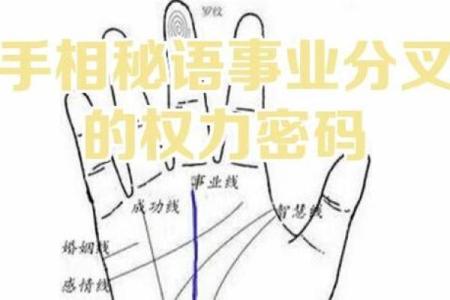 段建业盲派命理究竟暗藏什么玄机？命运密码反而决定了你的未来