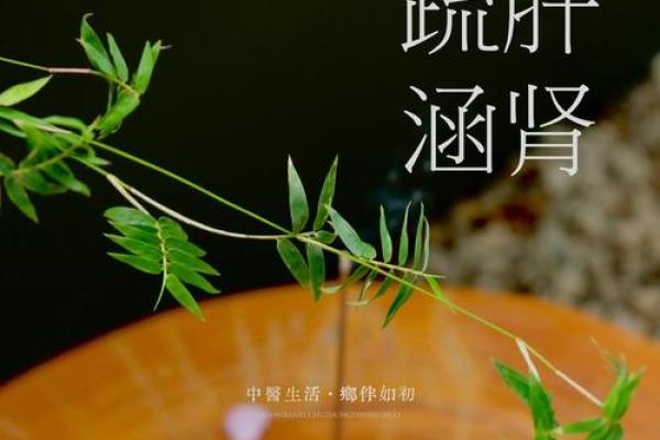 关注古老节庆背后的养生秘诀