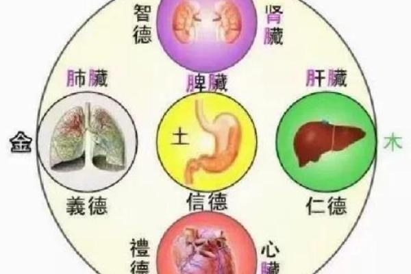 如何改变五行金多?揭秘性格误区,让你焕发新生 如何改变五行金多?揭秘性格误区,让你焕发新生