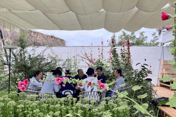 美国感恩节：从农耕传统到现代团圆盛宴