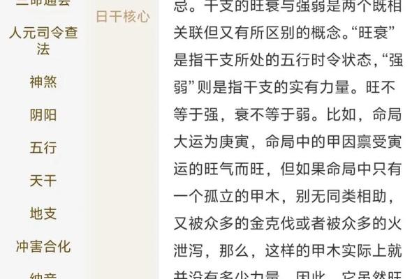 命运密码：解锁八字命理中的暗藏玄机