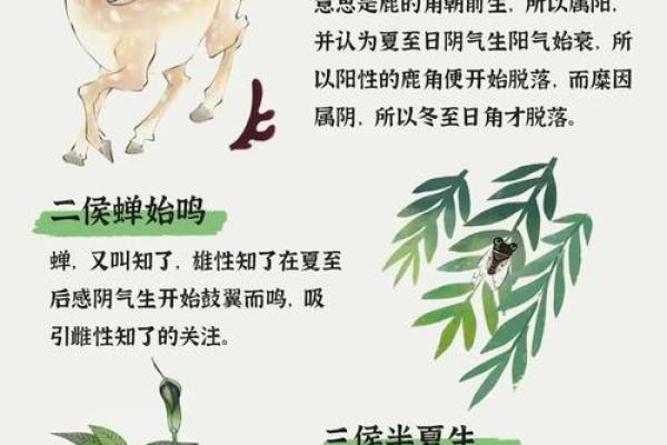 立夏天文现象解读:夏至前的天象变化 立夏天文现象解读:夏至前的天象变化