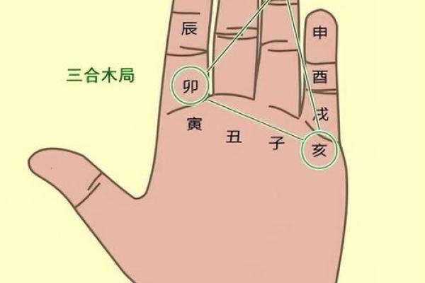 五行格局揭秘：性格解析如何影响你的物流决策？