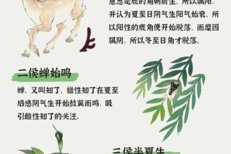 立夏天文现象解读：夏至前的天象变化