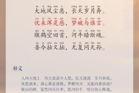 文化探秘：七夕节背后的历史与现代意义