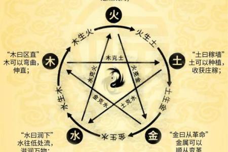 如何改变命运？揭秘五行格局的实用调和方法