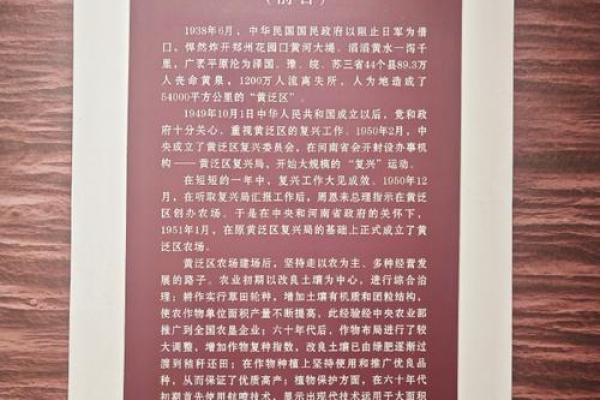 五四节的文化遗产与当代价值