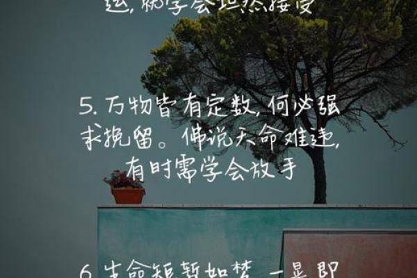 李念八字命理:破解命运的误区,改变人生的真正钥匙 李念八字命理:破解命运的误区,改变人生的真正钥匙