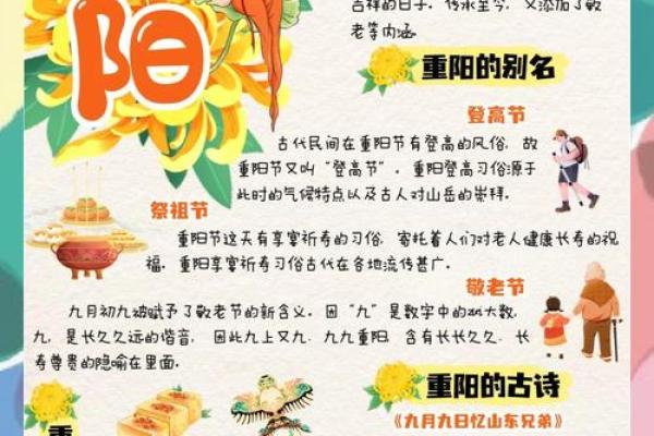 深入探讨节日背后的养生智慧与传统习俗 深入探讨节日背后的养生智慧与传统习俗