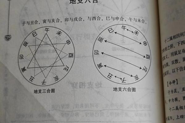 五行格局揭秘：君属何五行，性格解析让你知己知彼