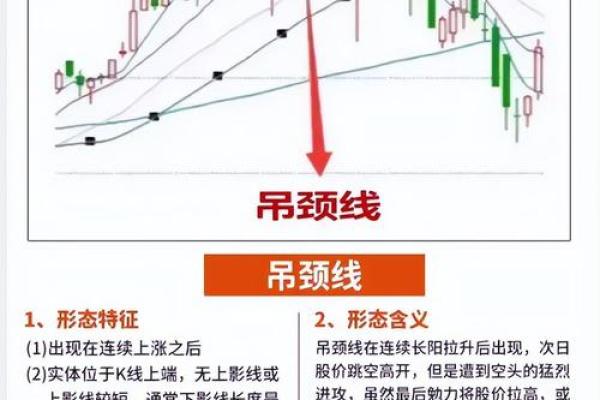 午时出生五行格局大揭秘:性格解析,反而能助你成功 午时出生五行格局大揭秘:性格解析,反而能助你成功