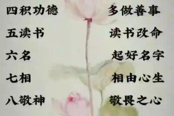 命运密码与八字玄机:从误区到智慧,揭开命运真相 命运密码与八字玄机:从误区到智慧,揭开命运真相