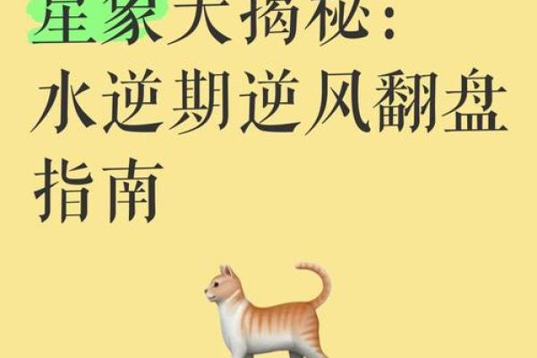 五行格局大揭秘:泽的误区与颠覆,真正了解自己才能逆风翻盘 五行格局大揭秘:泽的误区与颠覆,真正了解自己才能逆风翻盘