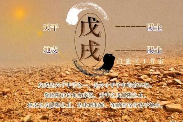 如何通过张曼玉的命理破解命运密码,改变人生轨迹 如何通过张曼玉的命理破解命运密码,改变人生轨迹