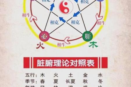 性格解析：五行帮你找到最适合你的生活之道