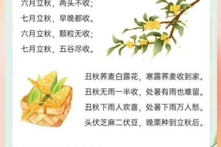 我国传统节日中的农耕文化与节令变化