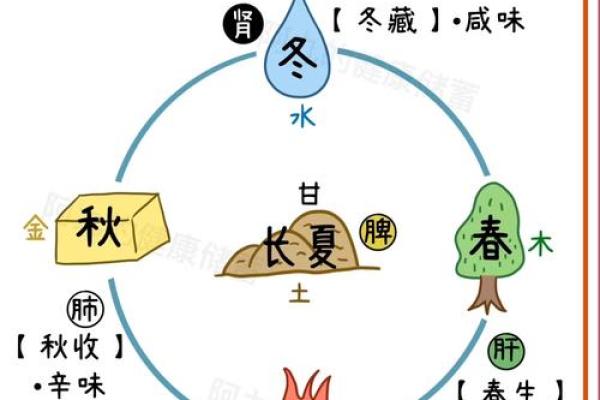 养生秘诀：如何顺应季节变换保健养生