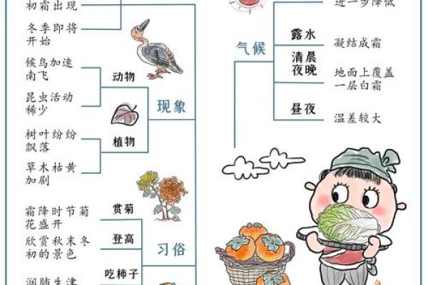 天文奇观与节气交织的神秘传说