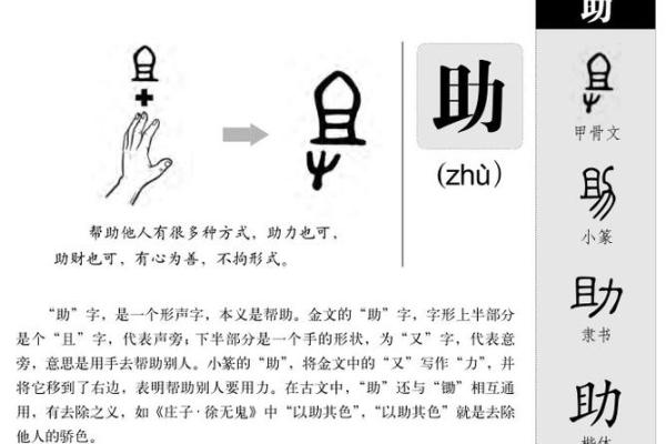 嘉字五行格局大揭秘：揭秘你的性格，如何改变你的运势？