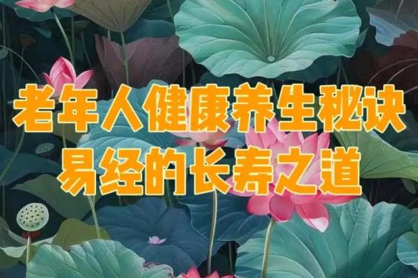 中国传统节日的养生意义与健康密码