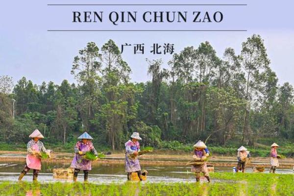 四月春耕时节，传统节日背后的农耕智慧