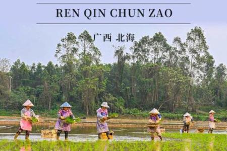 四月春耕时节，传统节日背后的农耕智慧