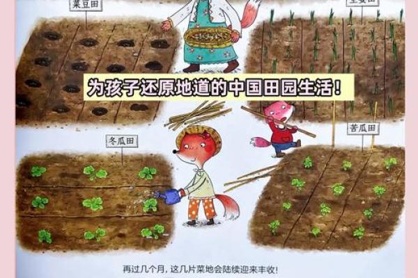 农耕与天文交织的中国节日岁月